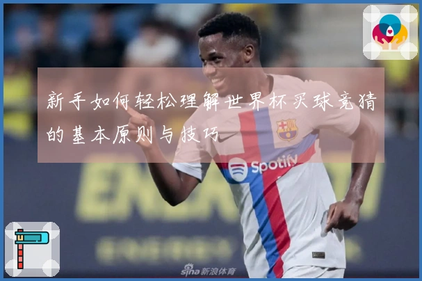 新手如何轻松理解世界杯买球竞猜的基本原则与技巧