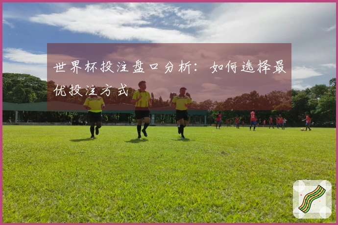 世界杯投注盘口分析：如何选择最优投注方式