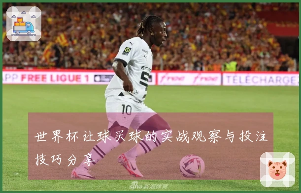世界杯让球买球的实战观察与投注技巧分享