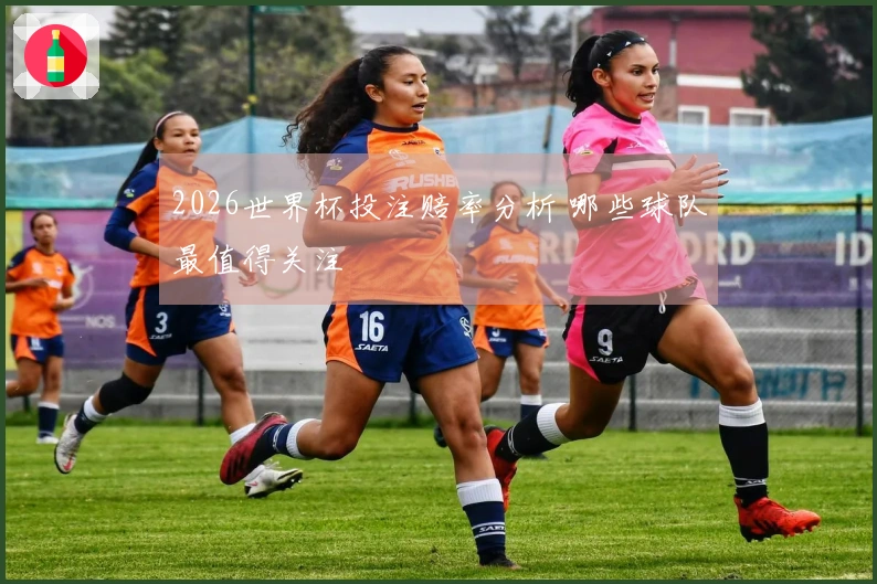 2026世界杯投注赔率分析 哪些球队最值得关注