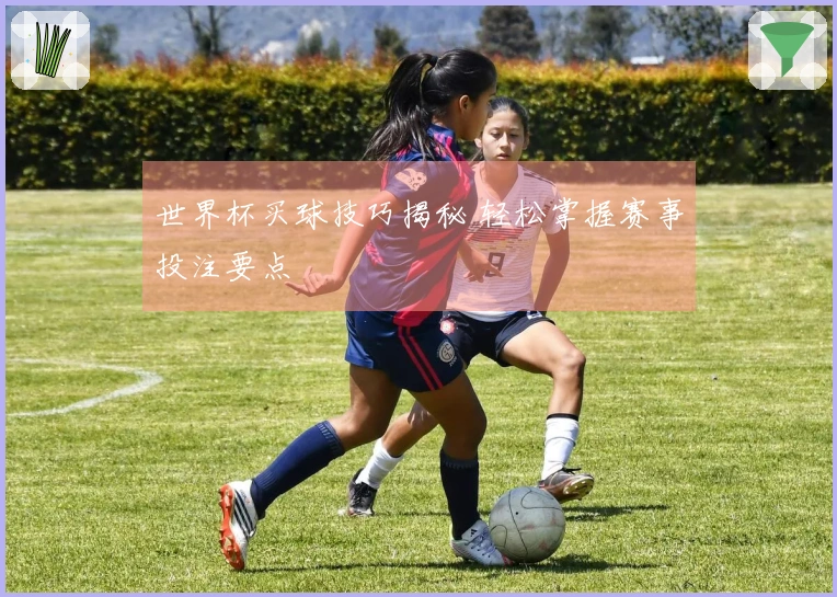 世界杯买球技巧揭秘 轻松掌握赛事投注要点