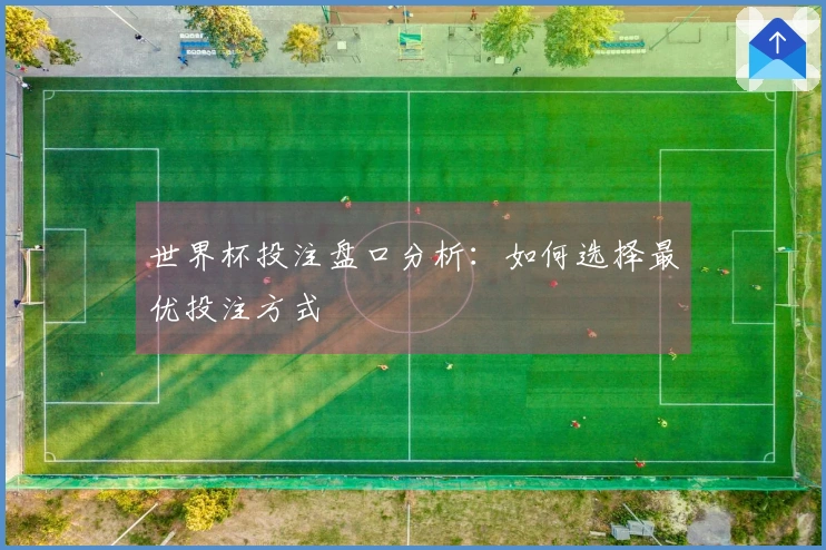 世界杯投注盘口分析：如何选择最优投注方式