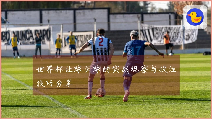 世界杯让球买球的实战观察与投注技巧分享