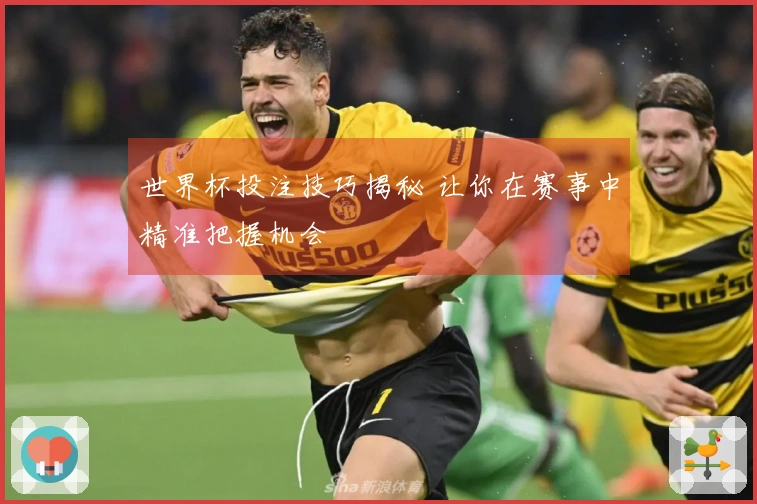 世界杯投注技巧揭秘 让你在赛事中精准把握机会