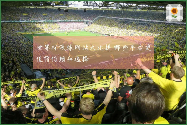 世界杯滚球网站大比拼 哪些平台更值得信赖和选择
