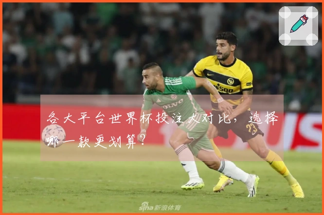 各大平台世界杯投注大对比，选择哪一款更划算？